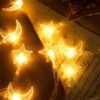 ✨ Moon & Star LED Fairy Lights ✨  "Turn your room into a dreamy starry night with these elegant Moon & Star Fairy Lights!" 🌙⭐